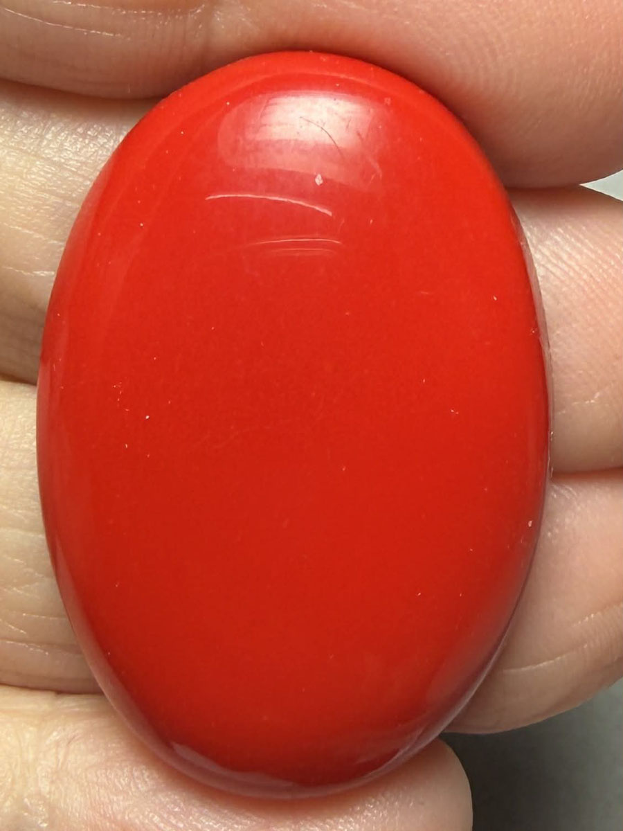 Oval 36x25mm Red Coral Cabochon 07