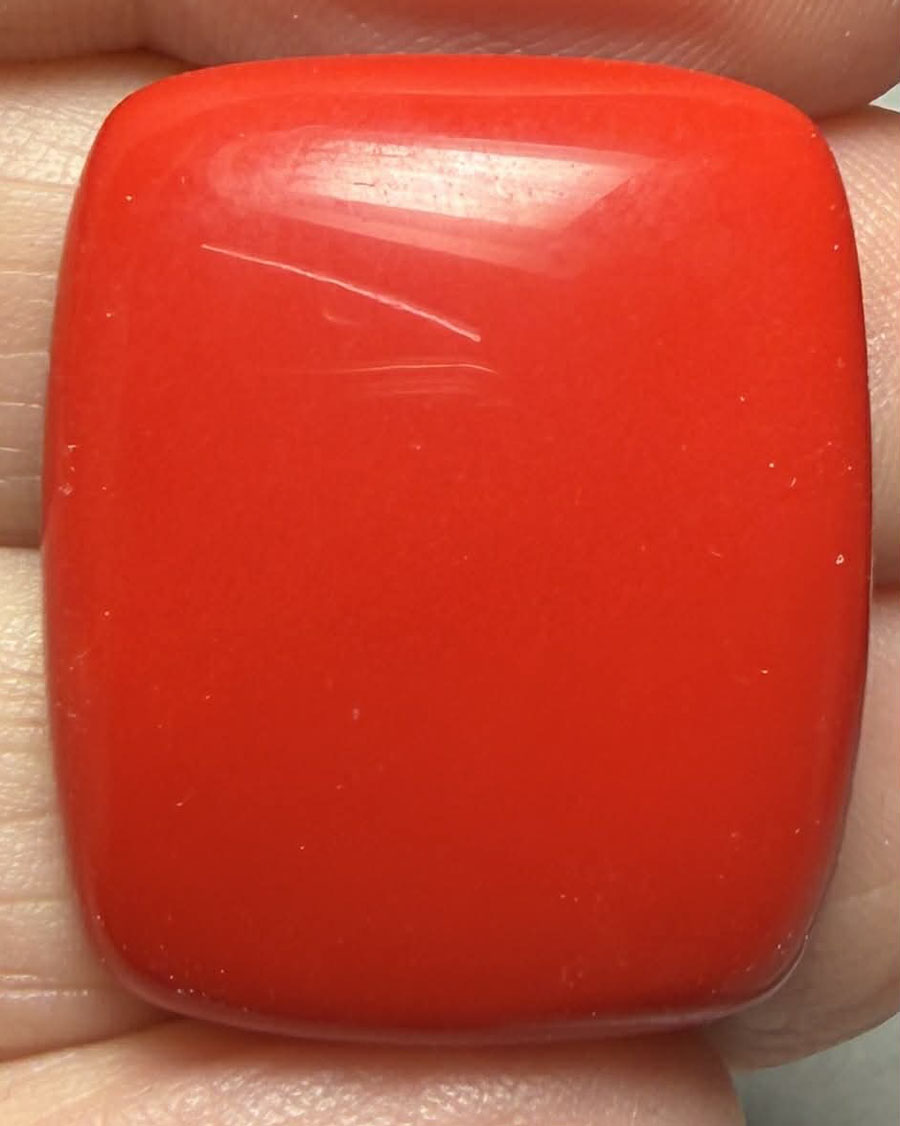 Rectangle 27x22mm Red Coral Cabochon 08
