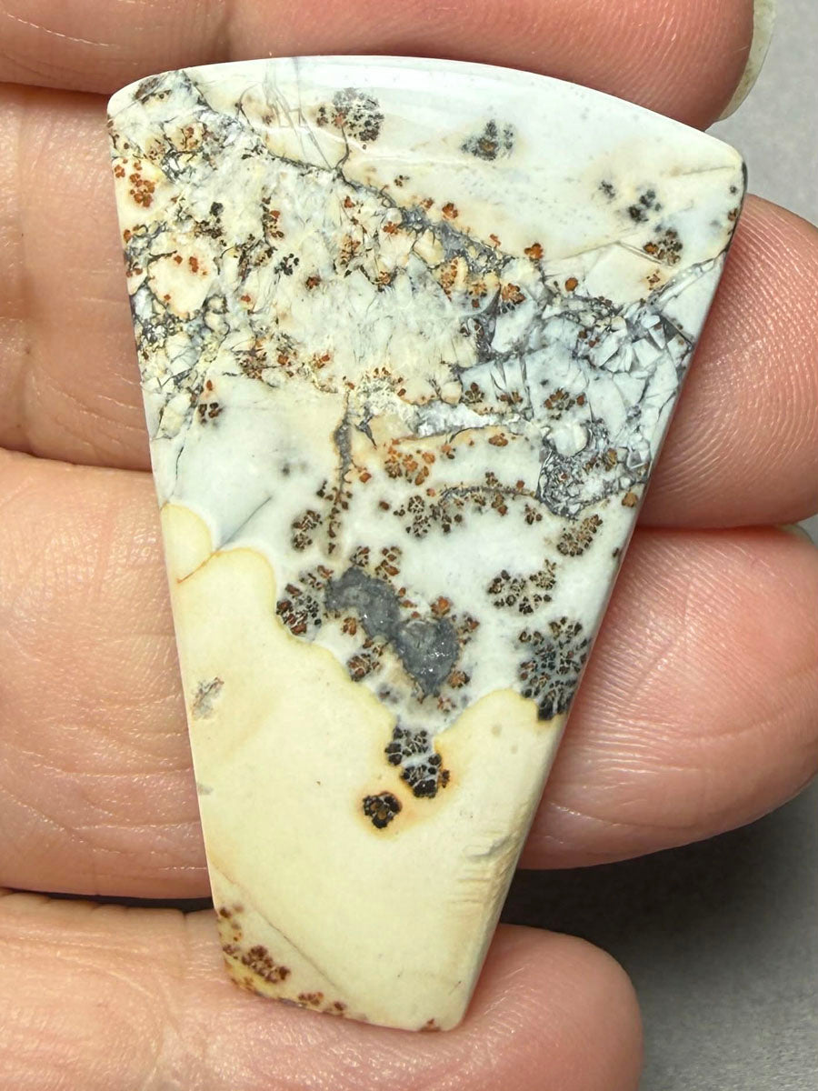 Freeform 43x28mm Maligano Jasper Cabochon 64
