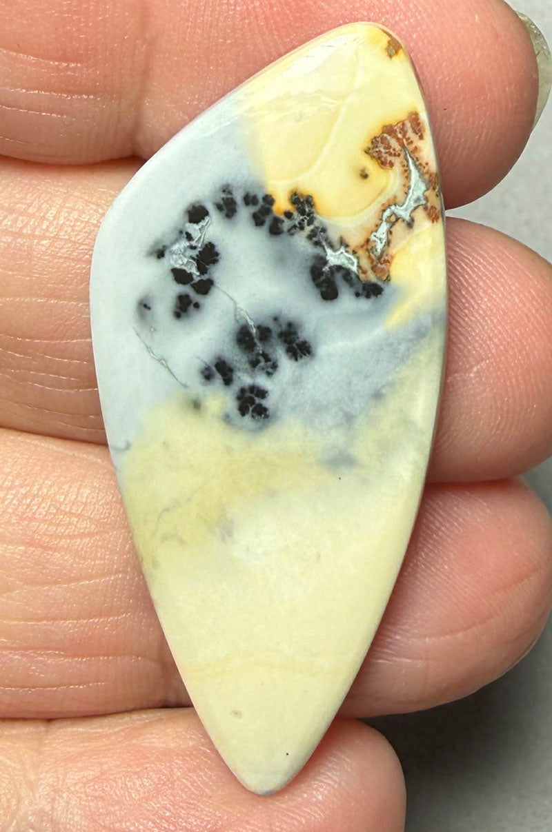 Freeform 45x20mm Maligano Jasper Cabochon 66