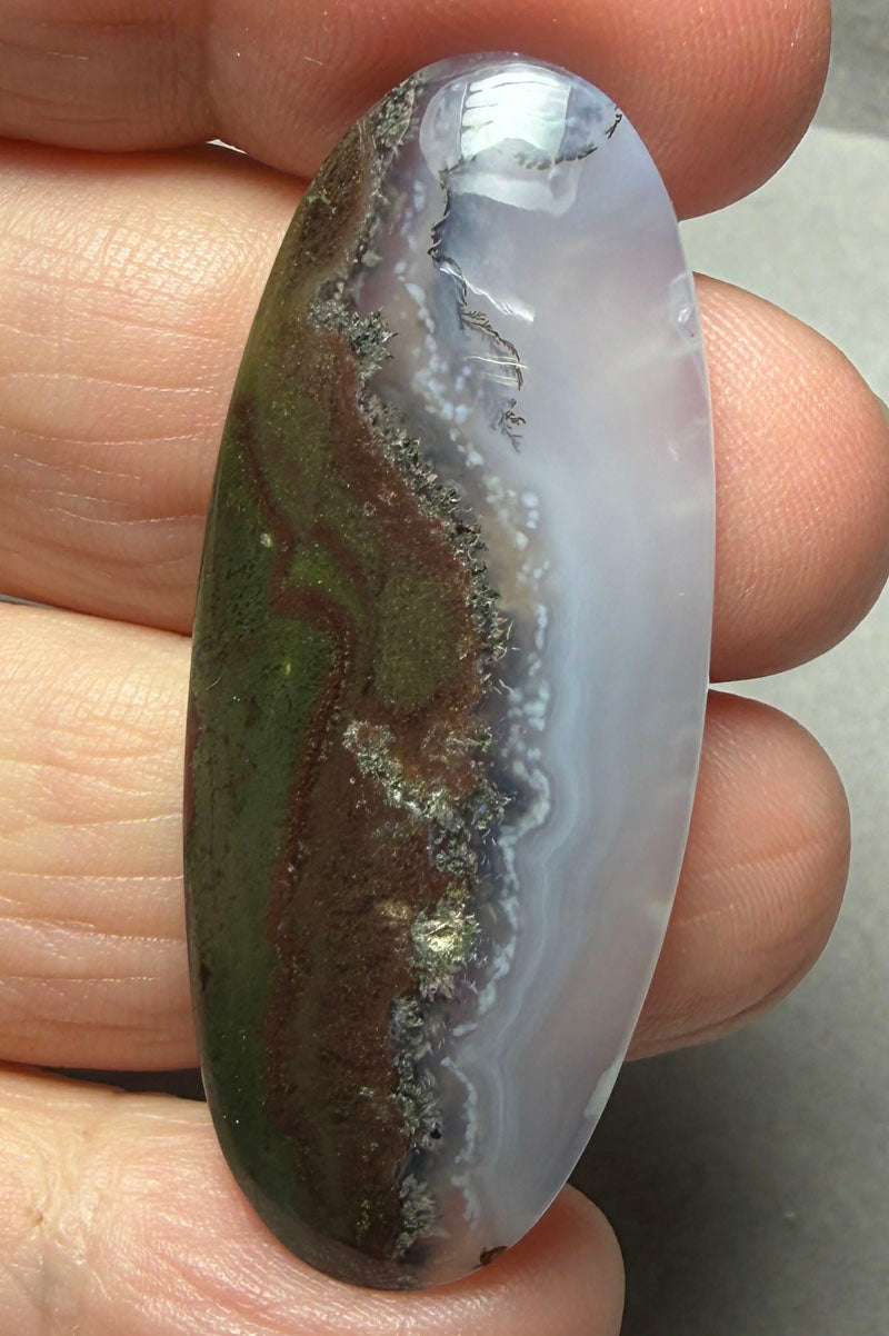 Oval 47x19mm Petrified Wood with Quartz Cabochon 07