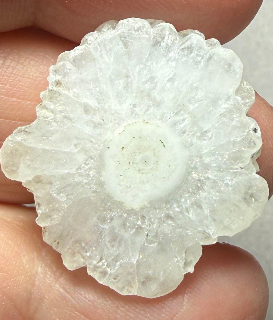 Freeform 27x25mm Natural Solar Quartz Slice 54