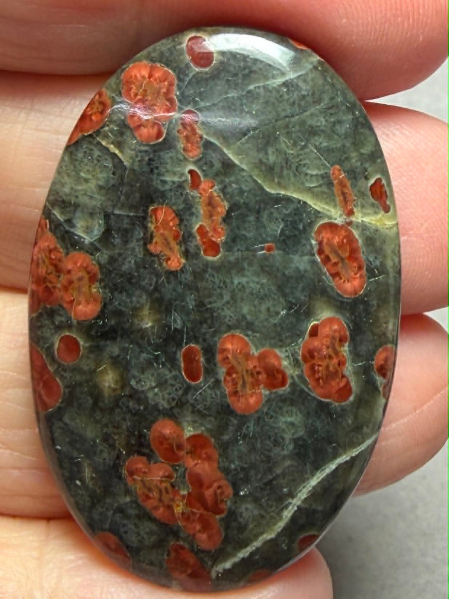 Oval 41x26mm Peanut Obsidian Cabochon 30
