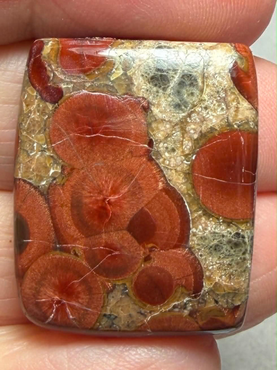 Rectangle 28x23mm Peanut Obsidian Cabochon 48