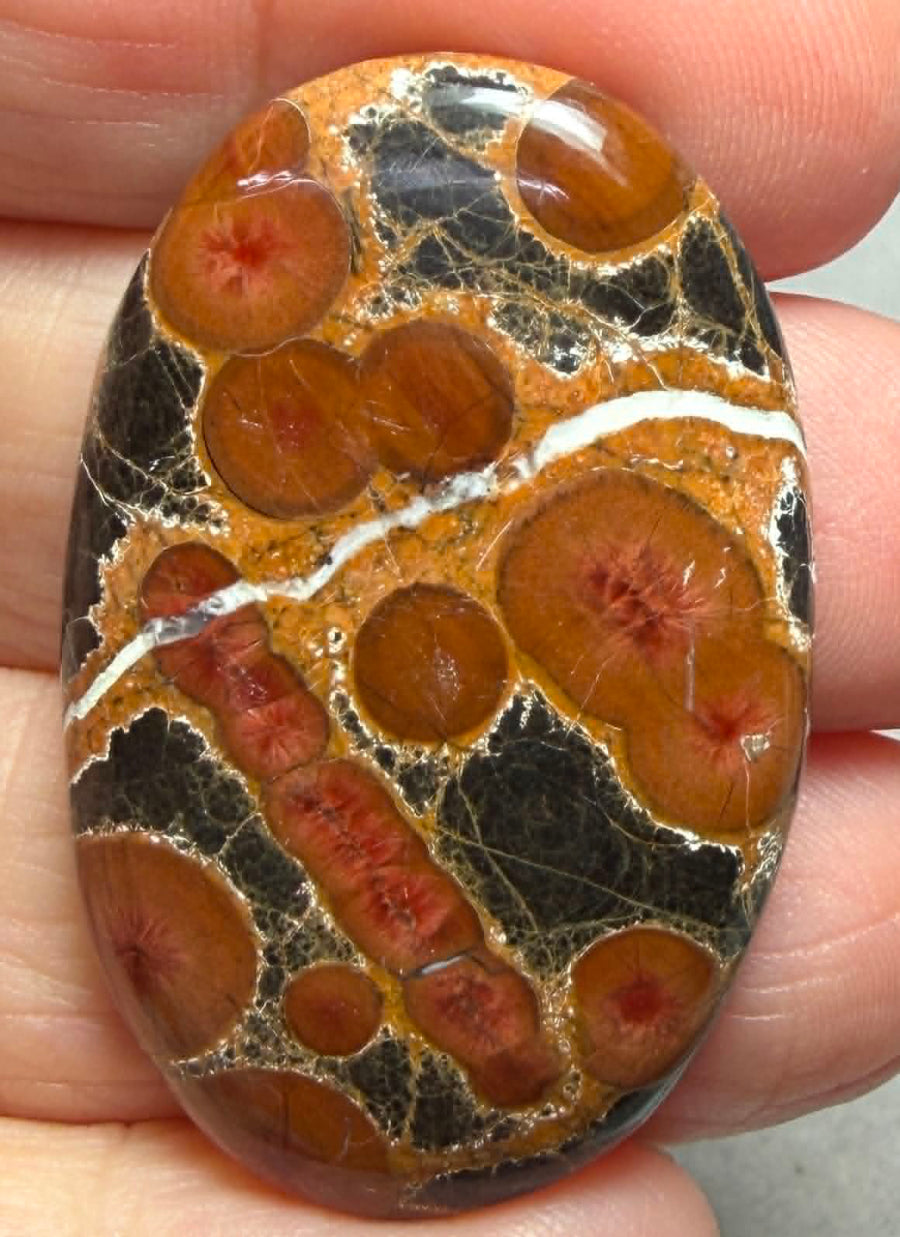 Oval 41x27mm Peanut Obsidian Cabochon 54