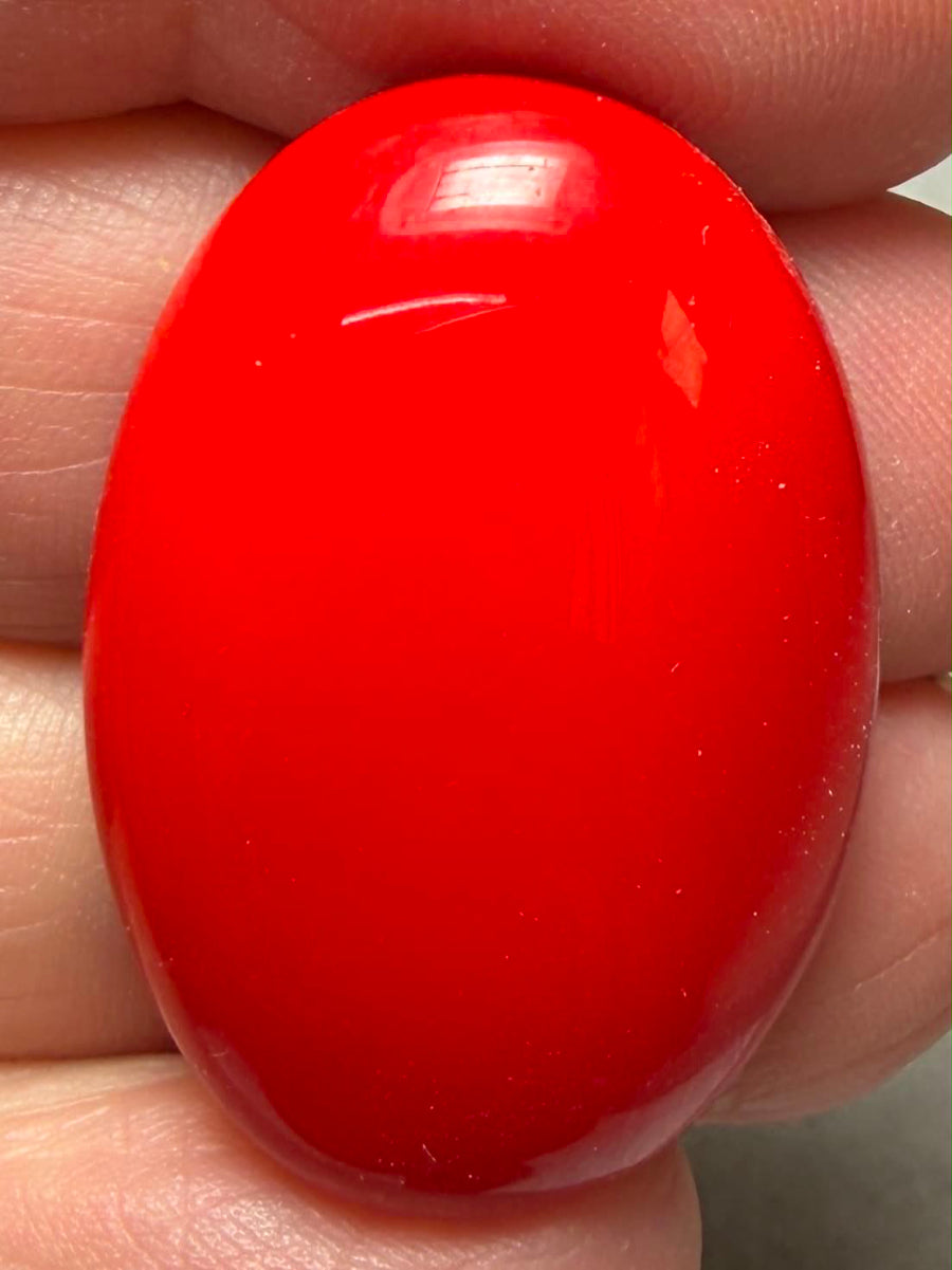 Oval 31x21mm Red Coral Cabochon 29