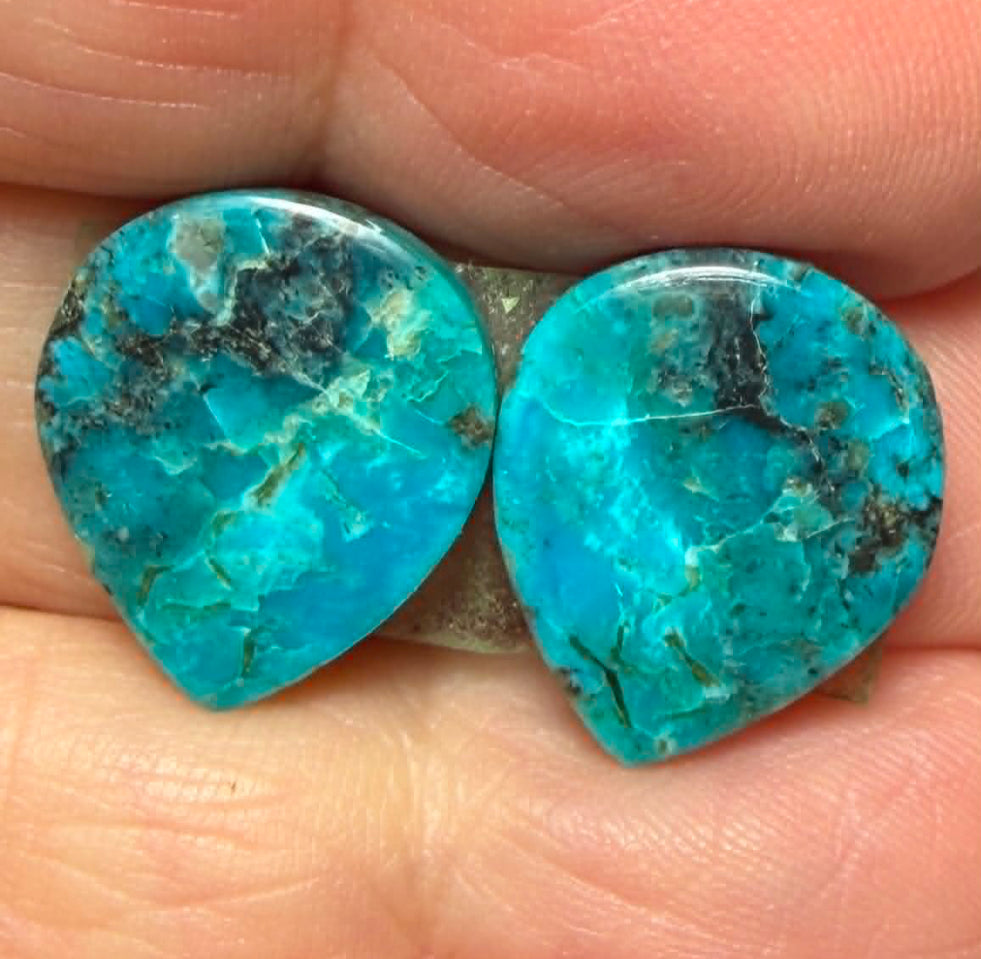 Teardrop 16x14mm Arizona Turquoise Cabochon Pair 15