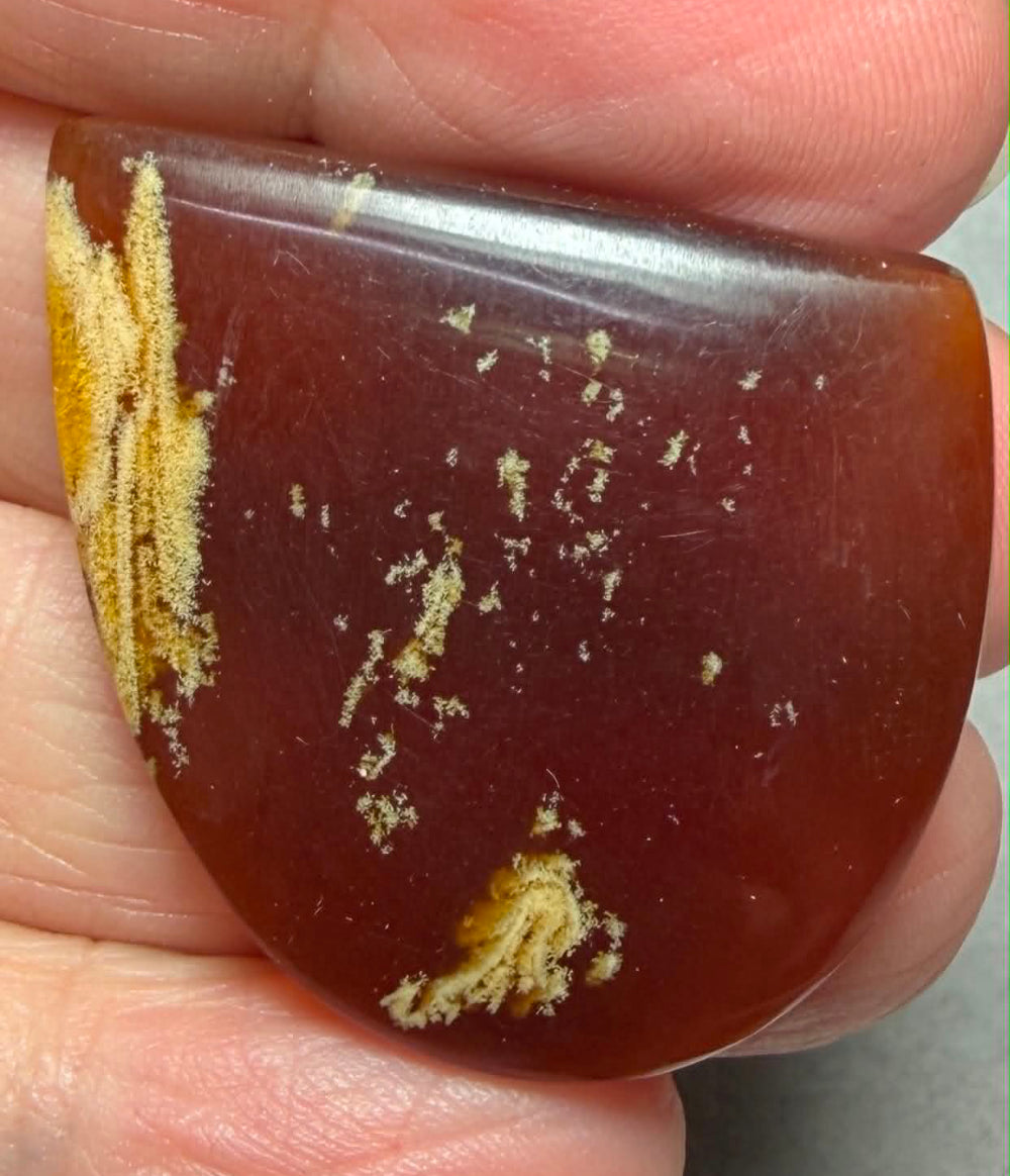 Freeform 39x32mm Indonesian Red Amber Cabochon 31
