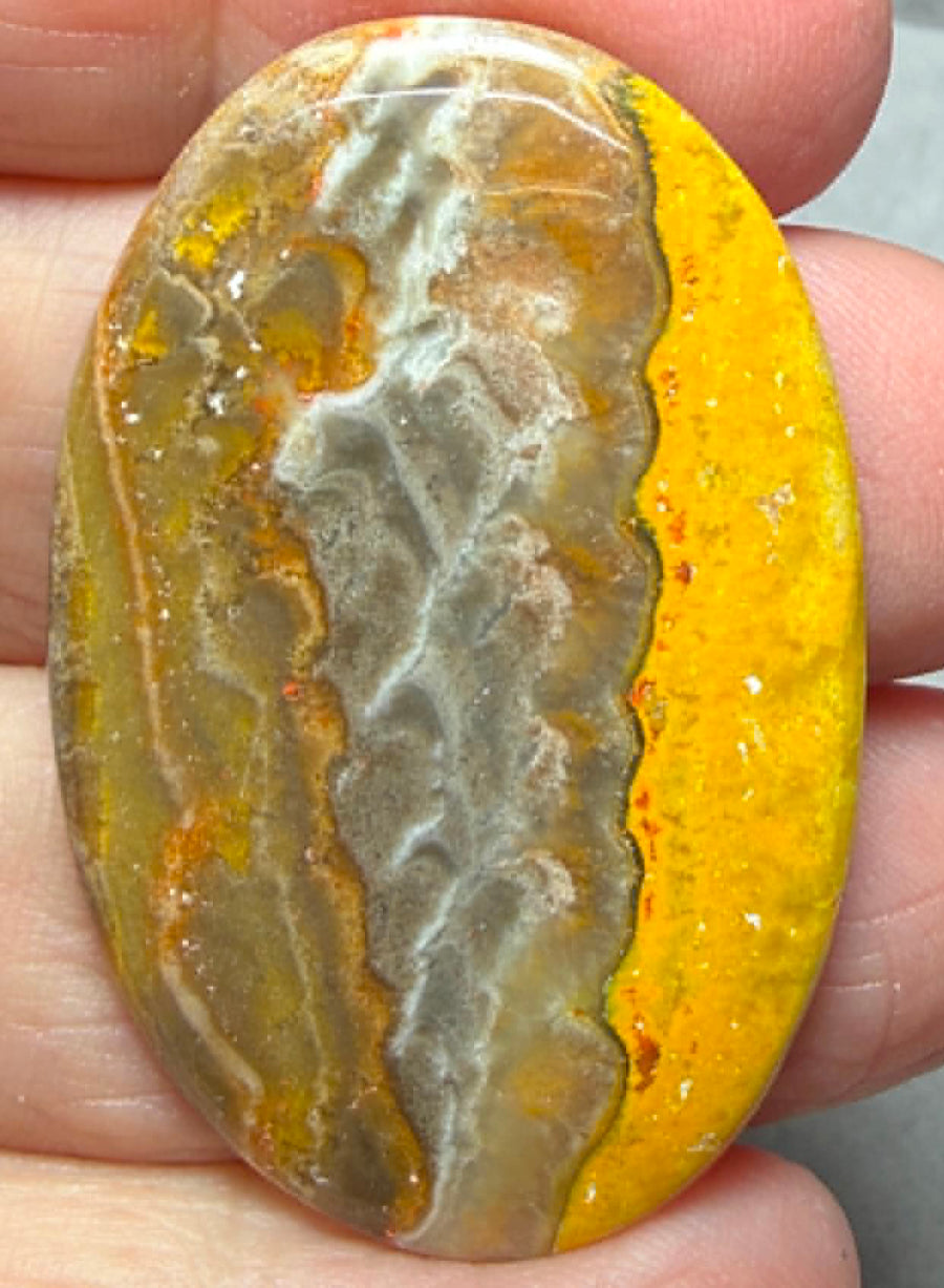 Oval 43x28mm Bumble Bee Jasper Cabochon 75
