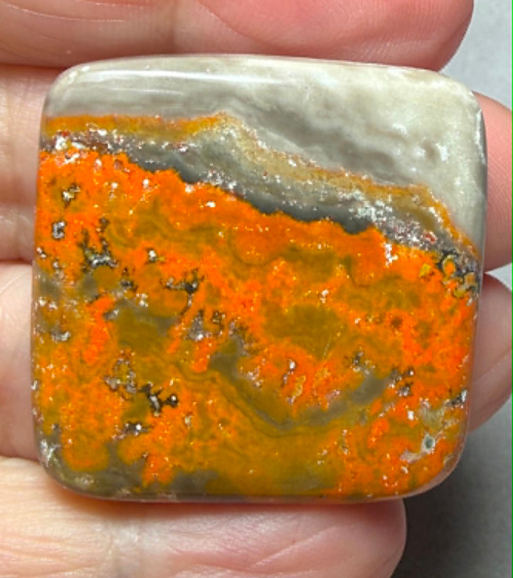 Square 33x33mm Bumble Bee Jasper Cabochon 79