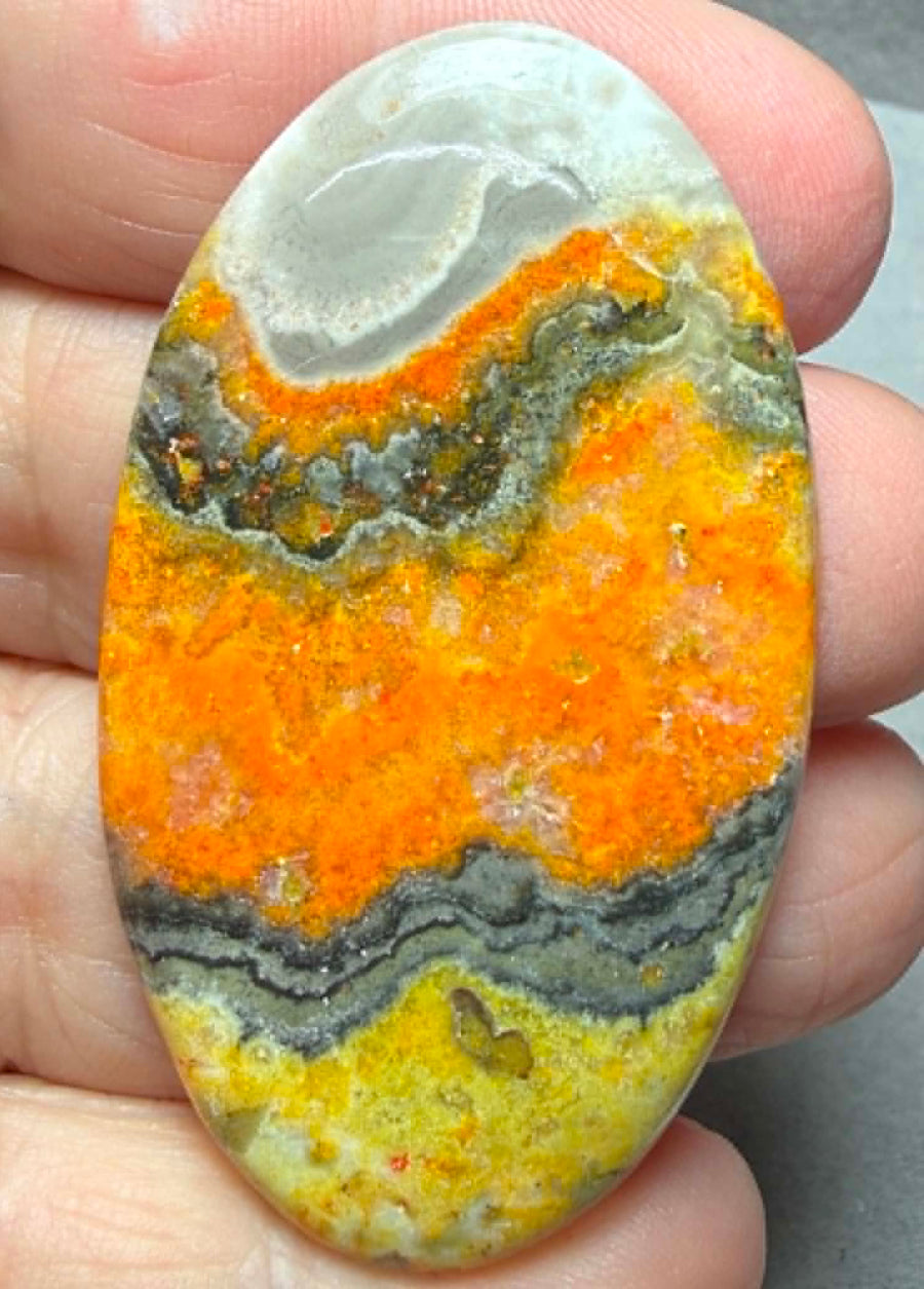 Oval 53x30mm Bumble Bee Jasper Cabochon 81