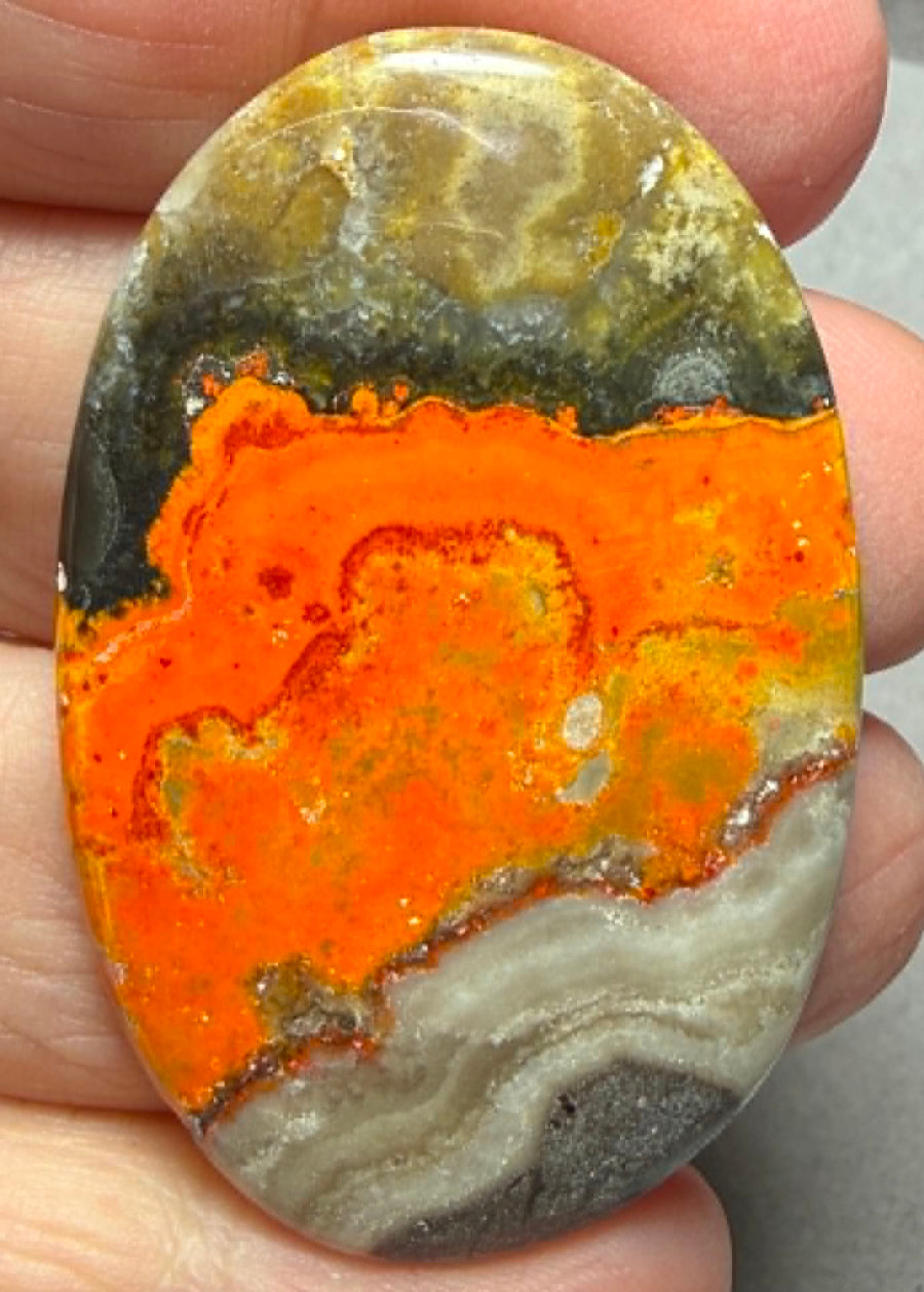 Oval 48x30mm Bumble Bee Jasper Cabochon 92