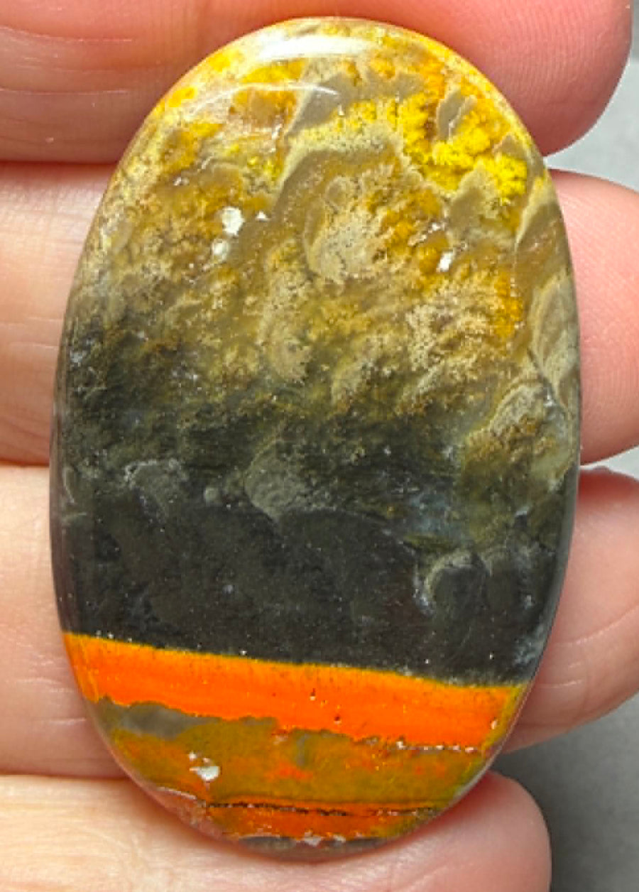 Oval 44x27mm Bumble Bee Jasper Cabochon 93