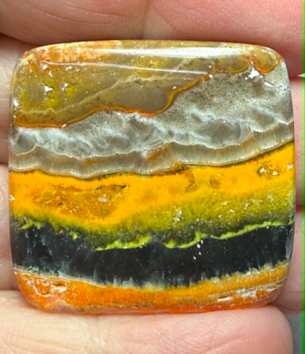 Rectangle 32x31mm Bumble Bee Jasper Cabochon 95