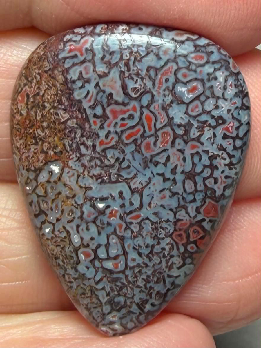 Teardrop 29x22mm Dinosaur Bone Cabochon 35