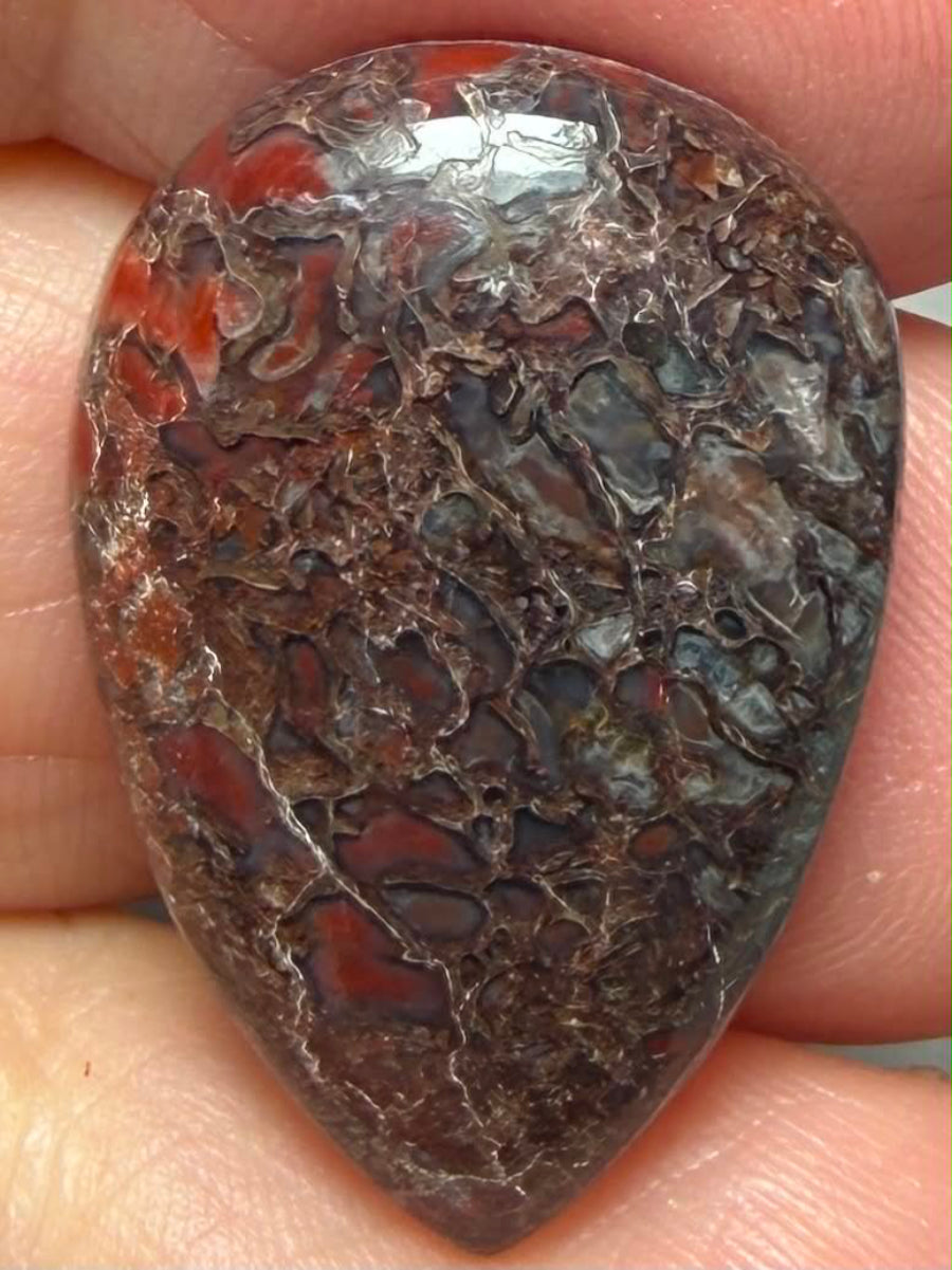 Teardrop 26x17mm Dinosaur Bone Cabochon 37