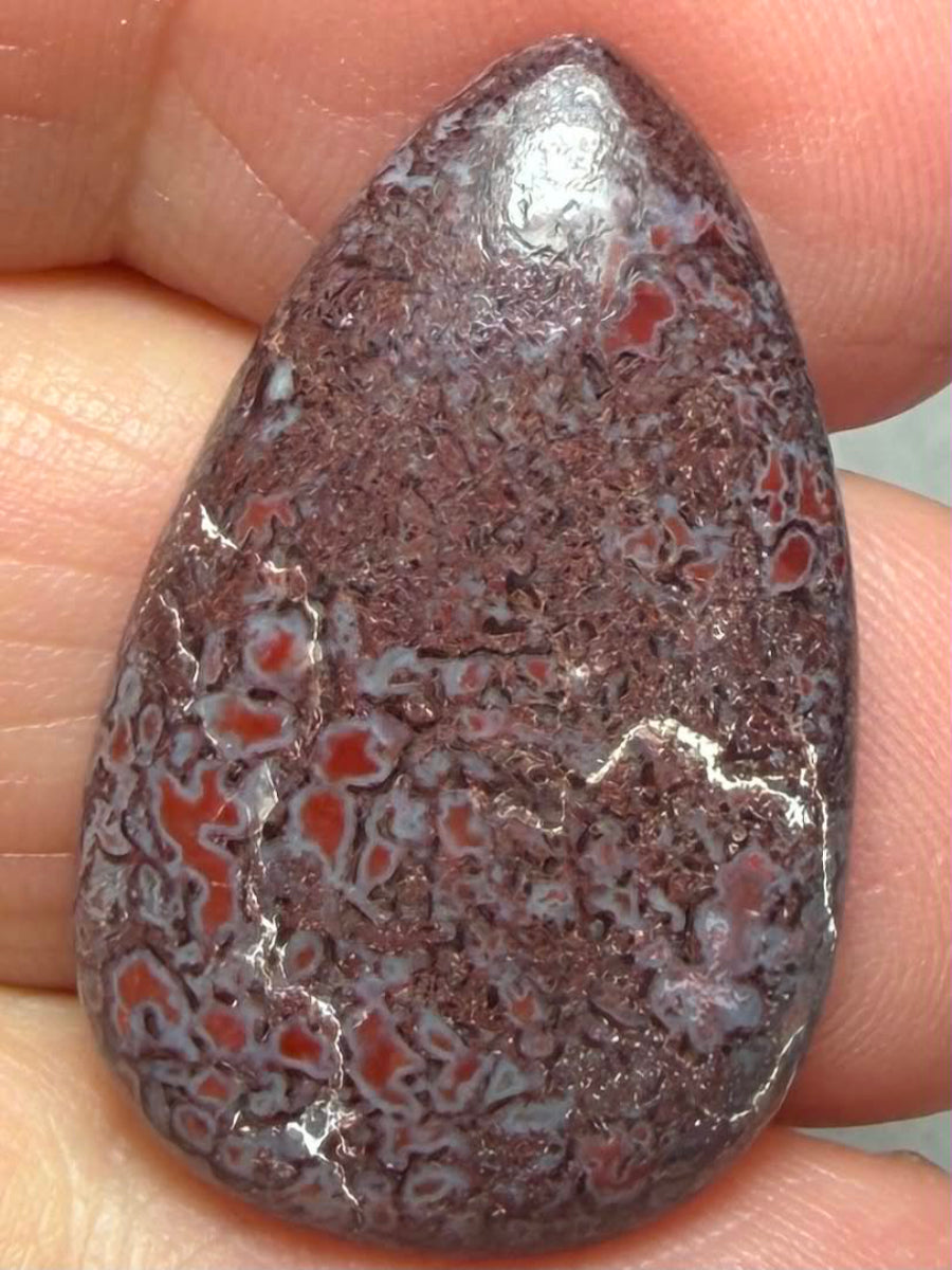Teardrop 29x18mm Dinosaur Bone Cabochon 45
