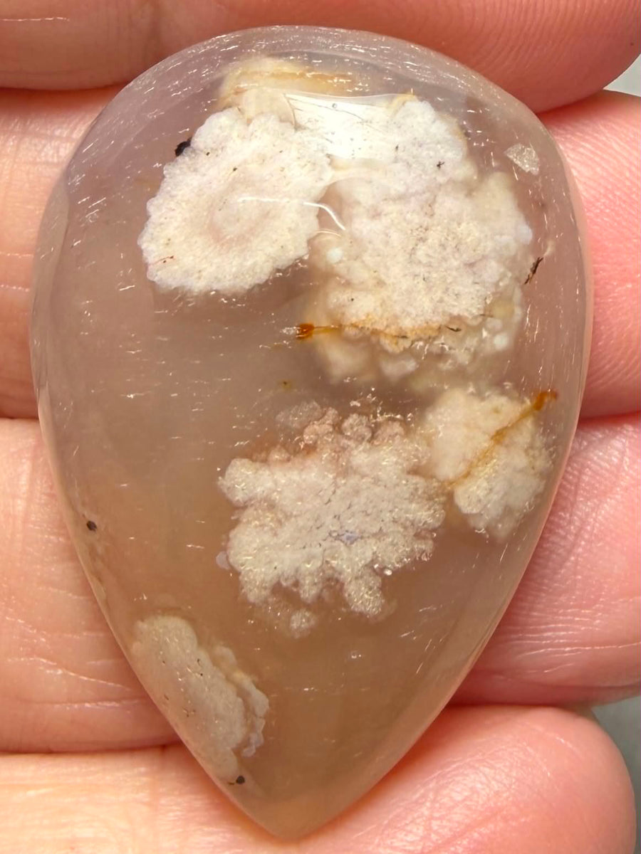 Teardrop 37x25mm Cherry Blossom Agate Cabochon 34