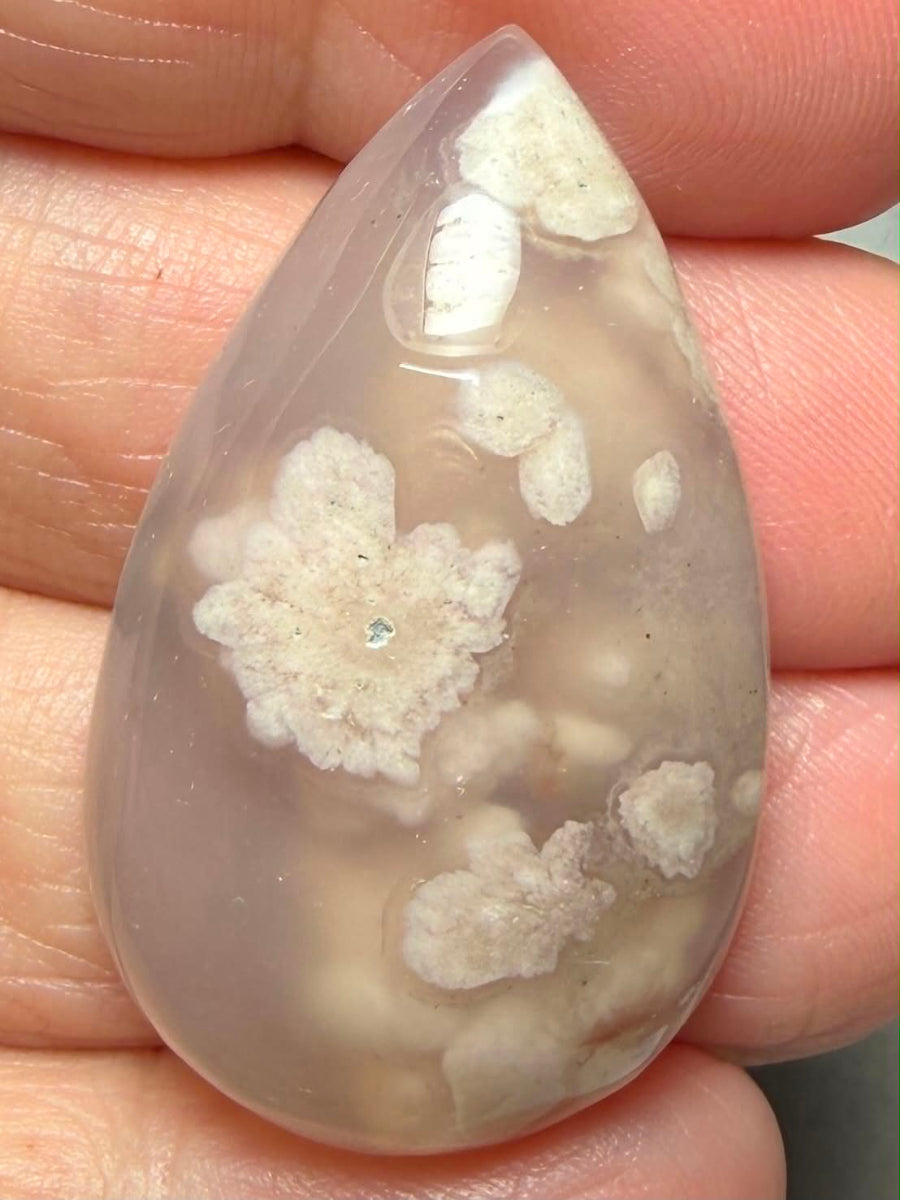 Teardrop 37x22mm Cherry Blossom Agate Cabochon 44