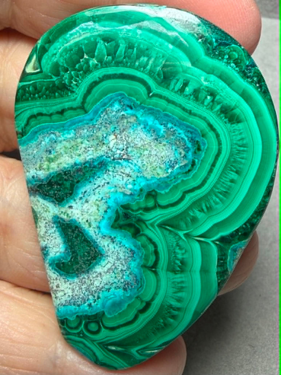 Freeform 56x40mm Malacolla Cabochon 11