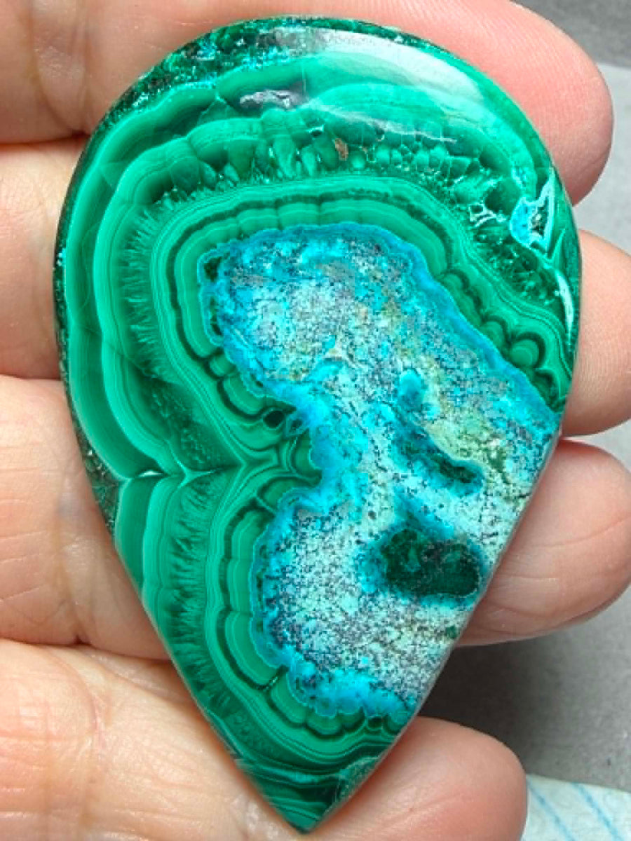 Teardrop 59x38mm Malacolla Cabochon 18