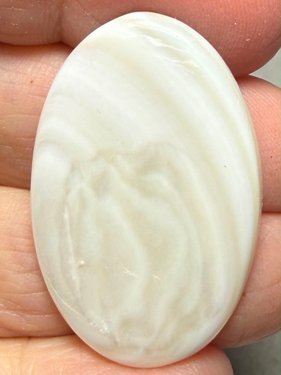 Oval 36x23mm Mother of Pearl Cabochon 59