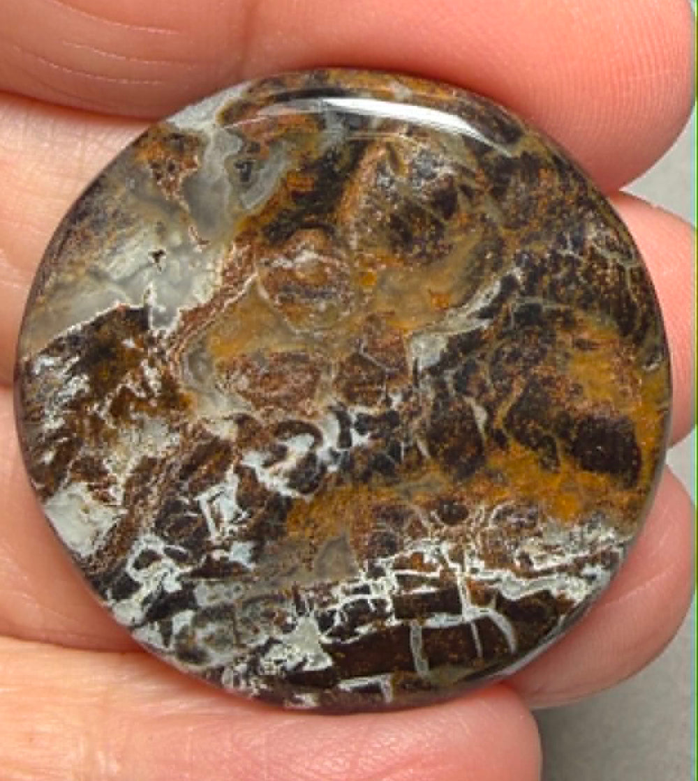 Round 33x33mm Snake Jasper Cabochon 19