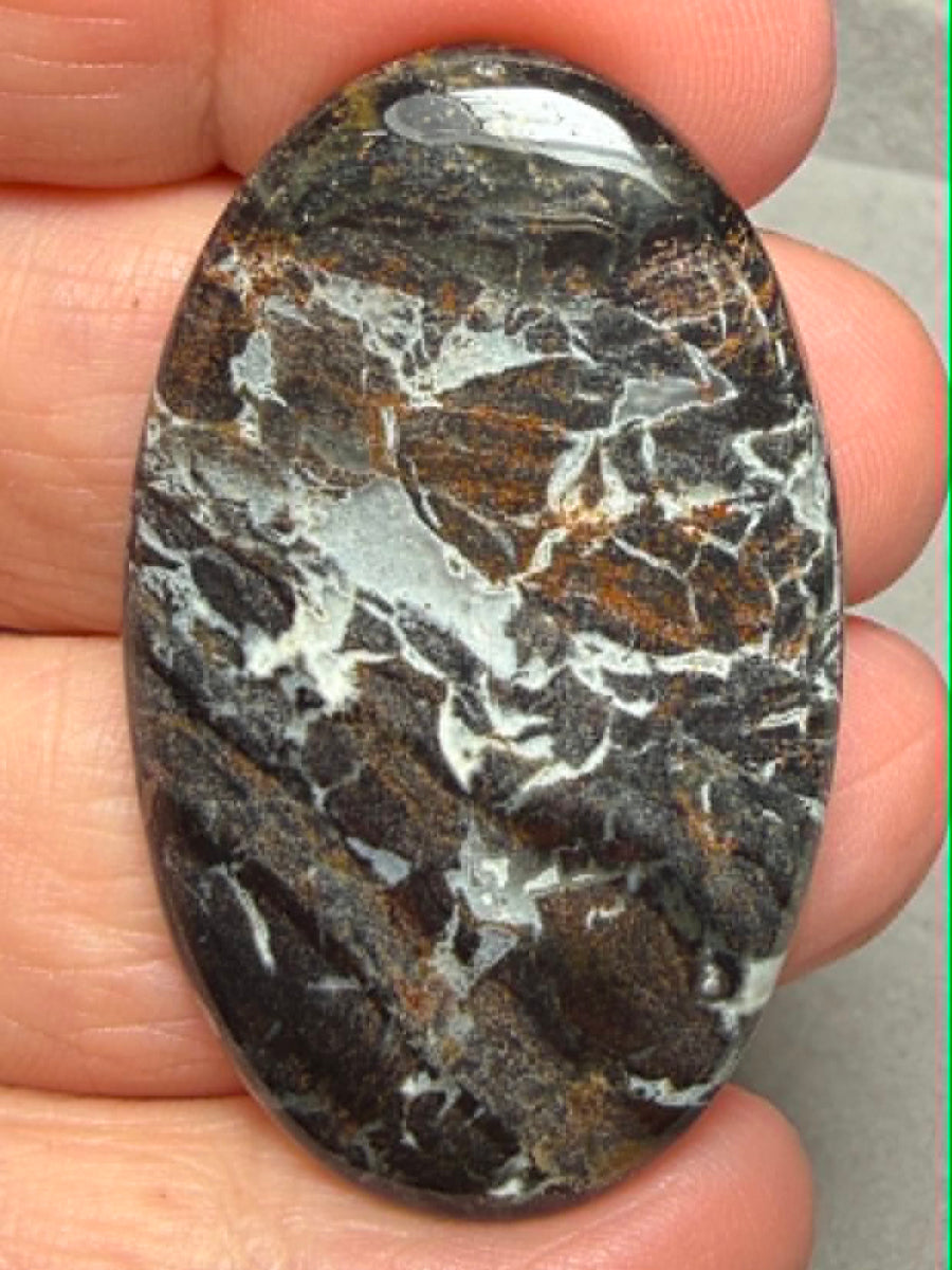 Oval 45x27mm Snake Jasper Cabochon 27