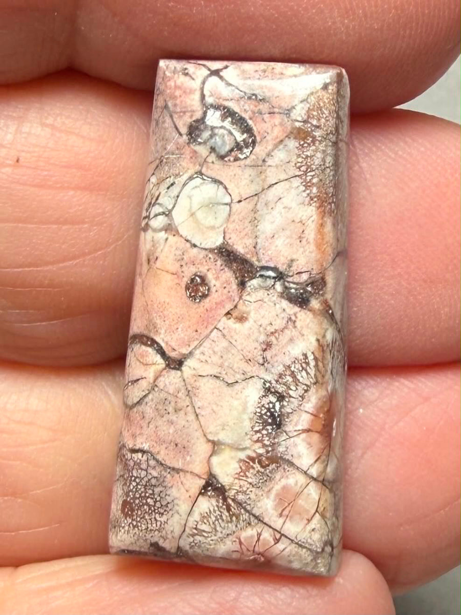 Freeform 28x13mm Birds Eye Jasper Cabochon 43