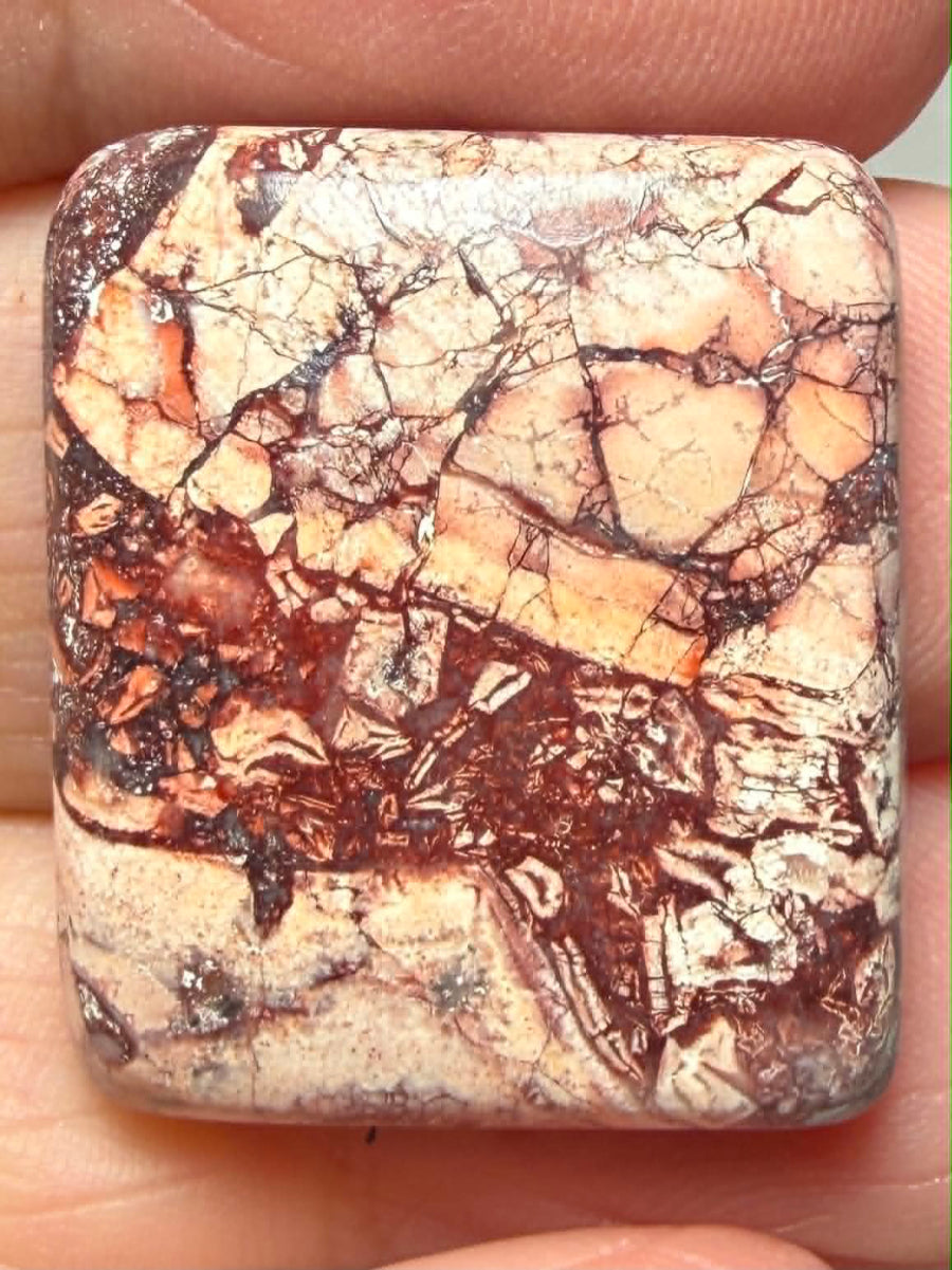 Rectangle 25x21mm Birds Eye Jasper Cabochon 44