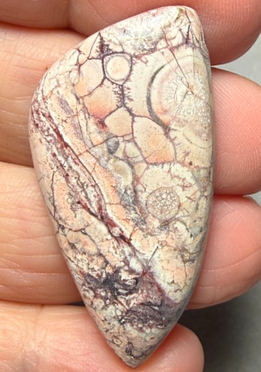 Freeform 44x22mm Birds Eye Jasper Cabochon 51
