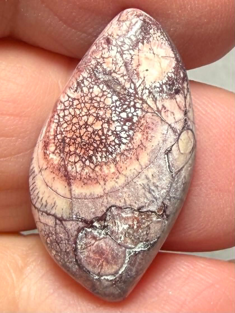Freeform 27x15mm Birds Eye Jasper Cabochon 60
