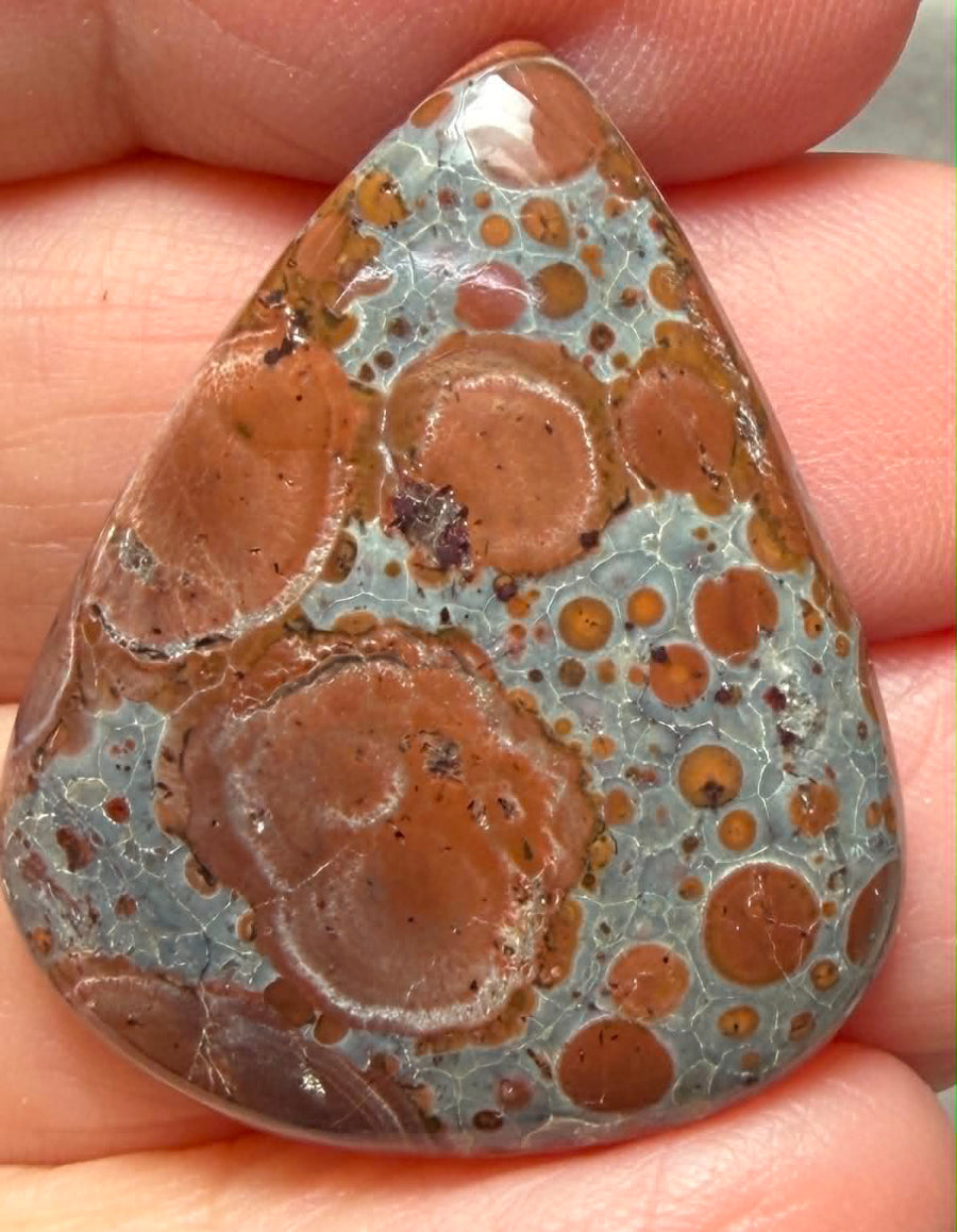Teardrop 33x27mm Asteroid Jasper Cabochon 24