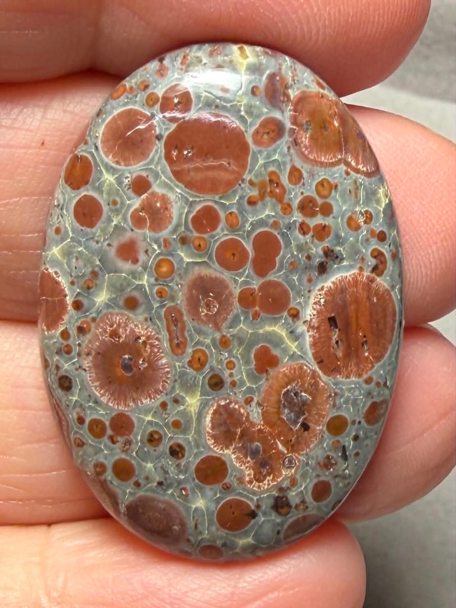 Oval 35x24mm Asteroid Jasper Cabochon 26