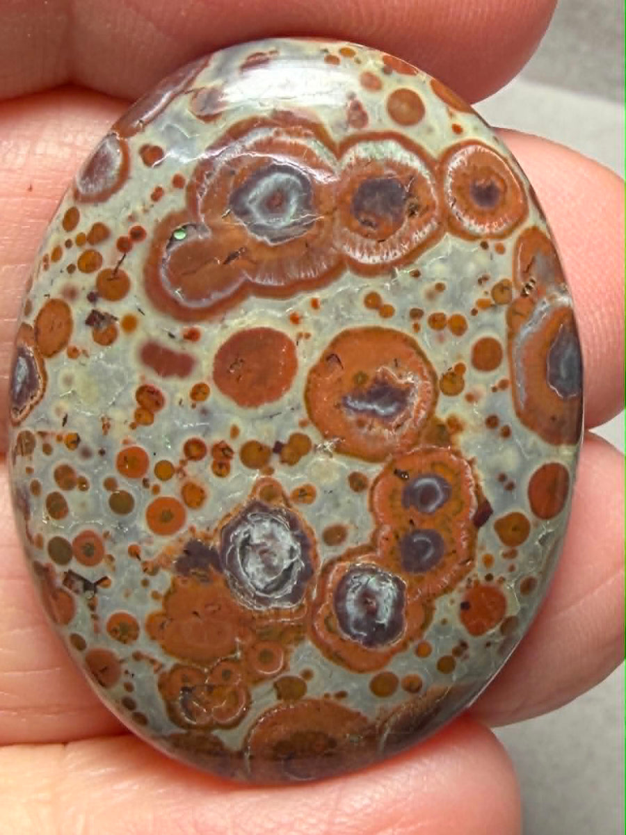 Oval 35x27mm Asteroid Jasper Cabochon 28
