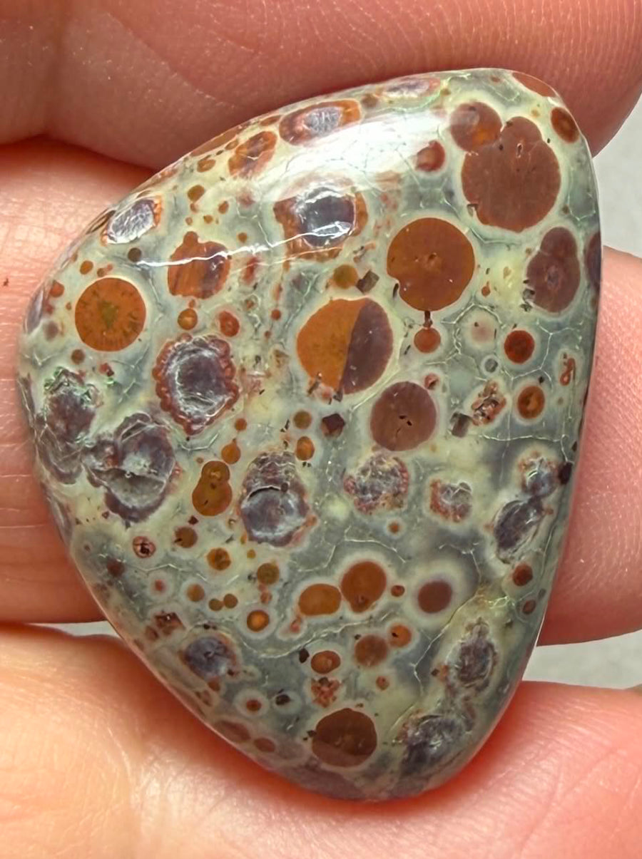 Freeform 28x21mm Asteroid Jasper Cabochon 30