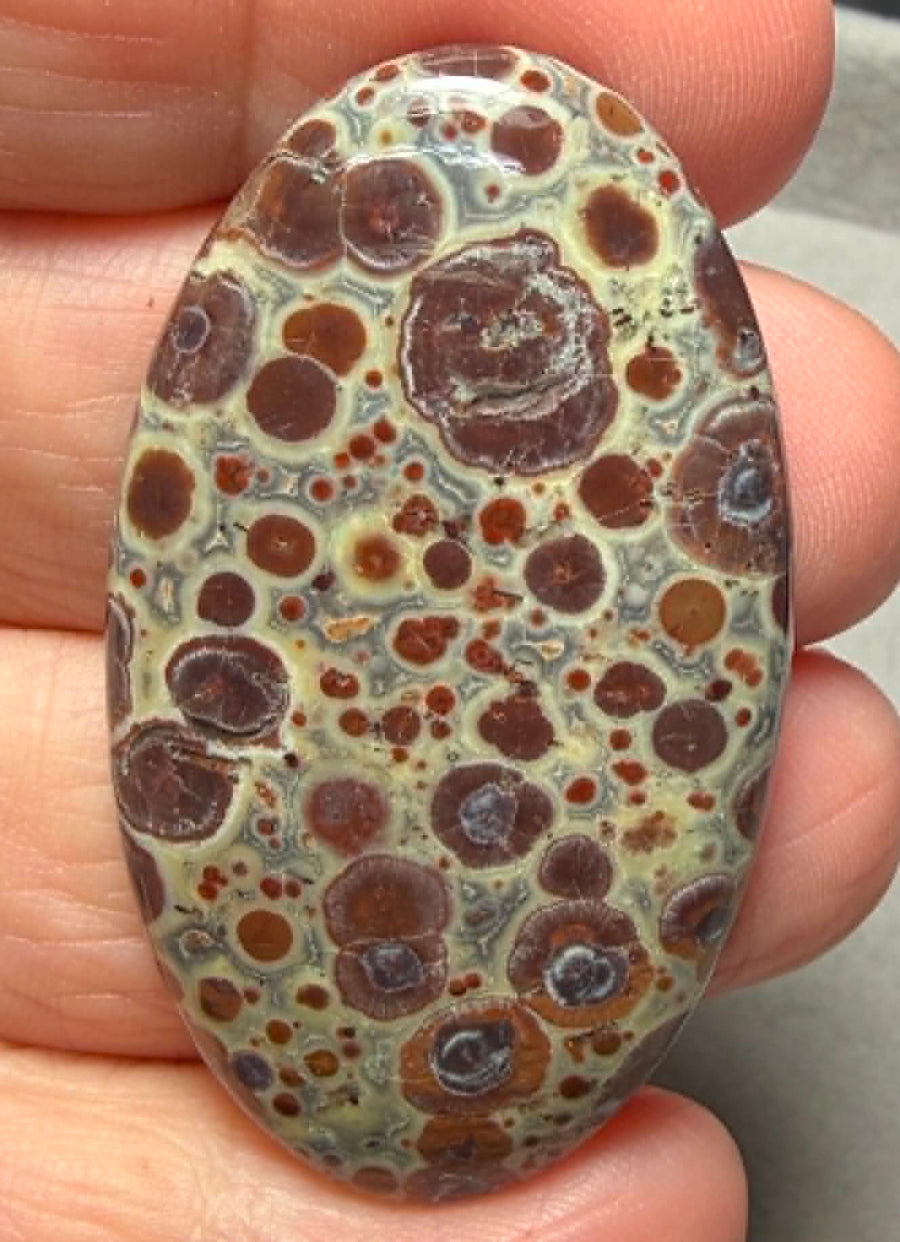 Oval 46x27mm Asteroid Jasper Cabochon 36