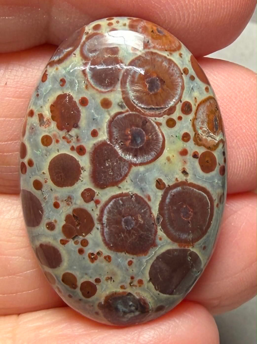 Oval 33x22mm Asteroid Jasper Cabochon 37