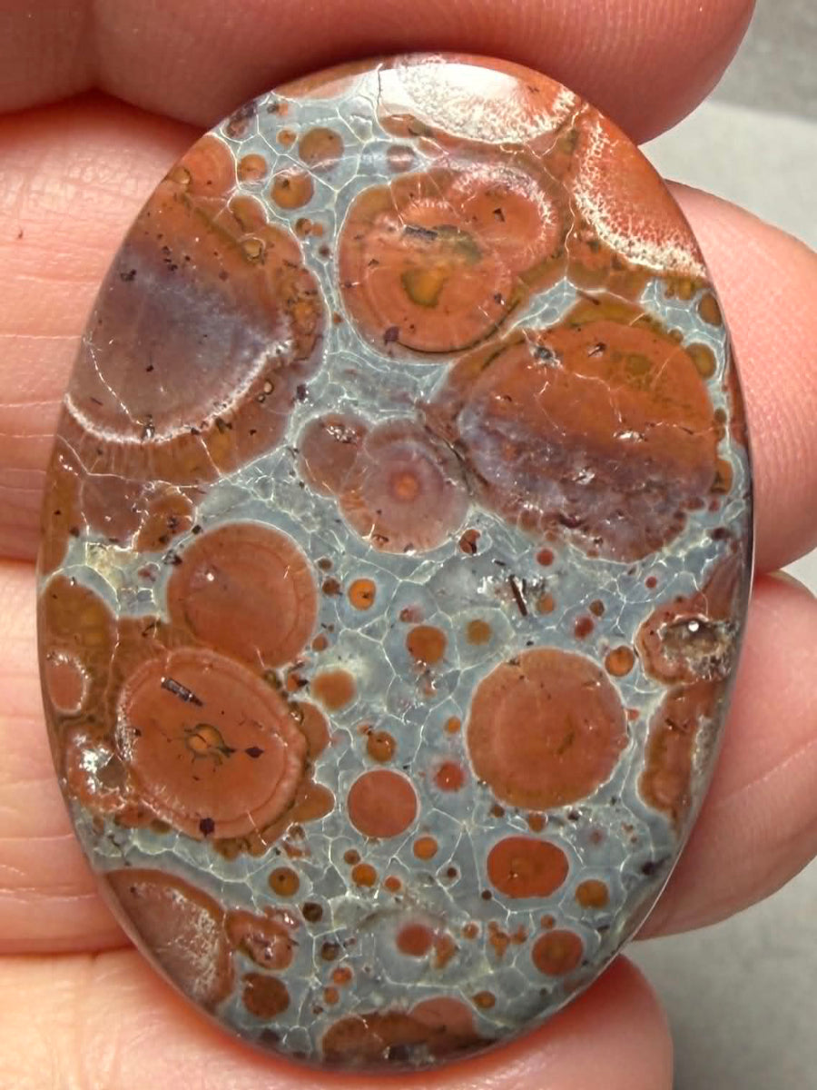 Oval 37x25mm Asteroid Jasper Cabochon 39