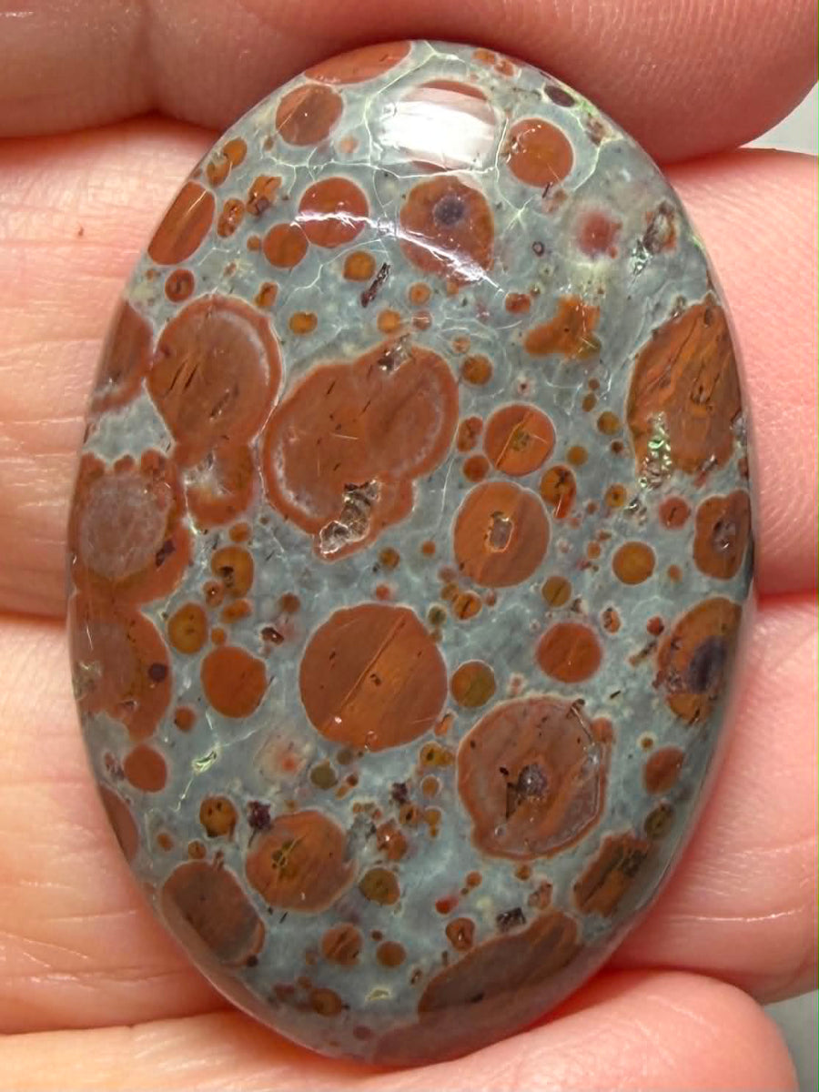 Oval 33x22mm Asteroid Jasper Cabochon 41