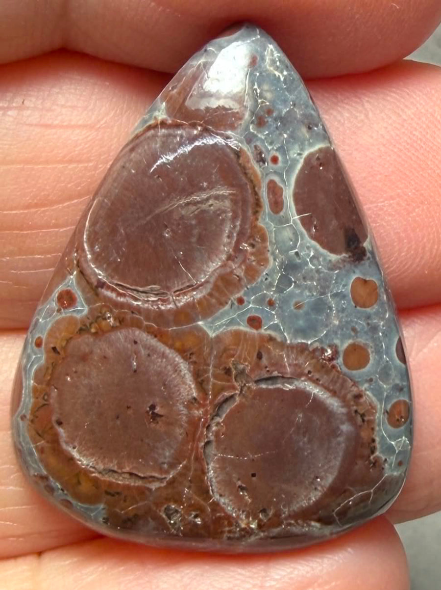 Teardrop 30x23mm Asteroid Jasper Cabochon 44