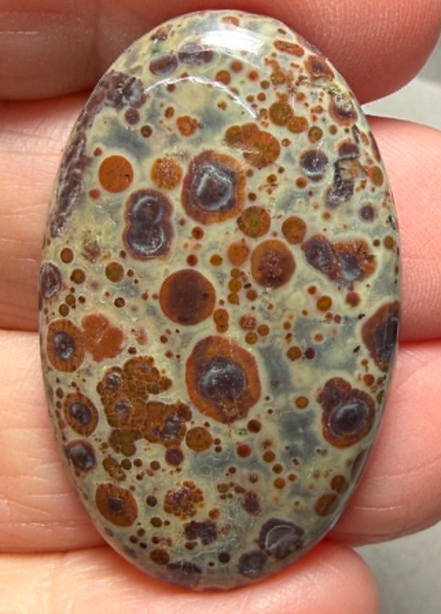 Oval 38x23mm Asteroid Jasper Cabochon 45