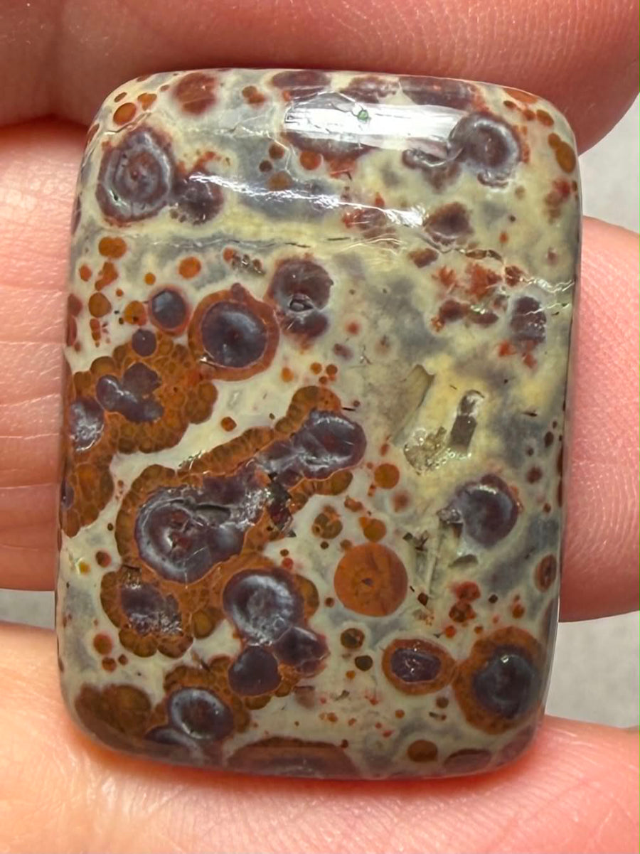 Rectangle 26x19mm Asteroid Jasper Cabochon 46