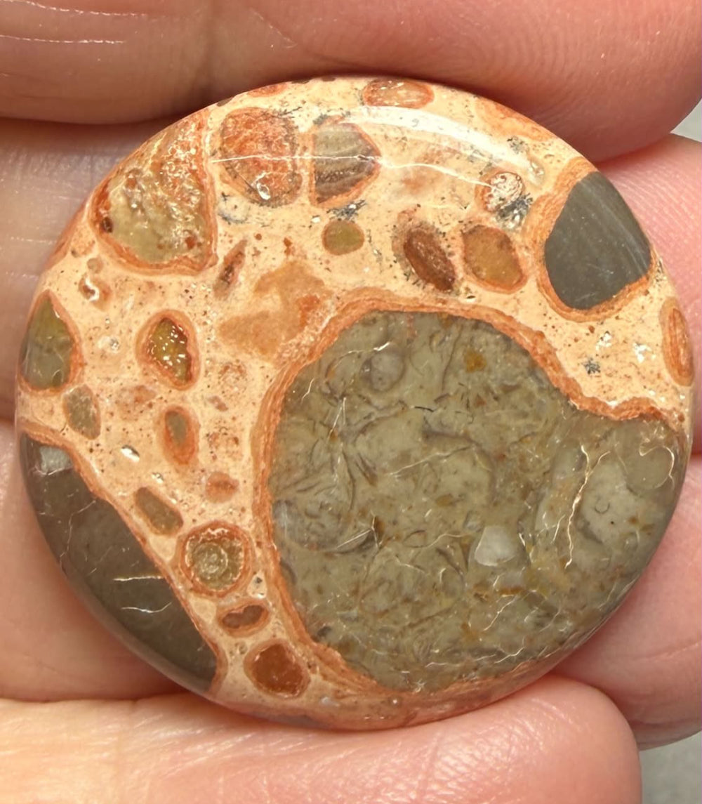 Round 29x29mm Leopardite Jasper Cabochon 35