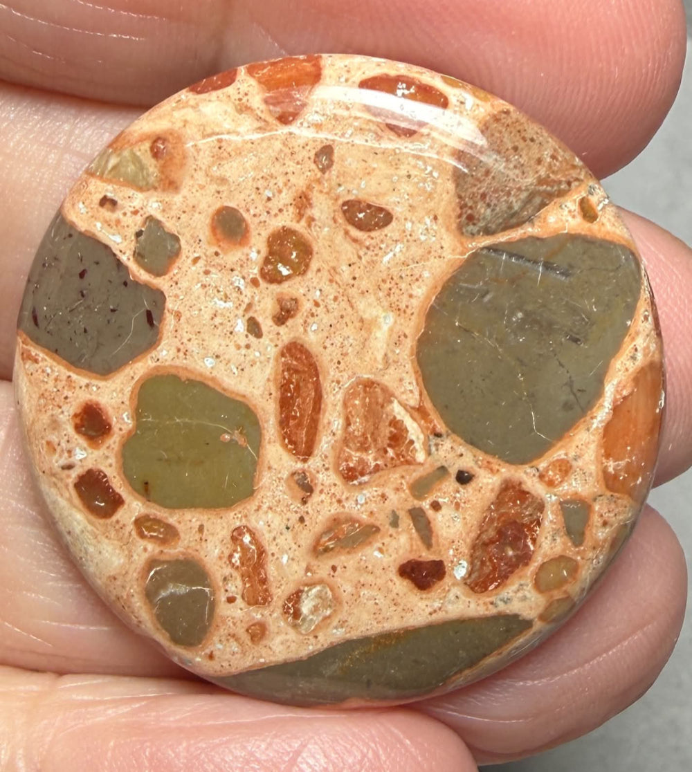 Round 33x33mm Leopardite Jasper Cabochon 47