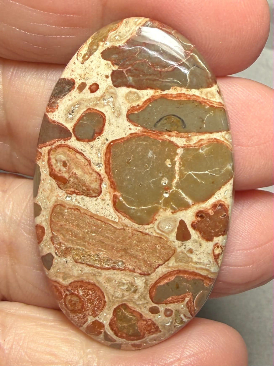 Oval 46x28mm Leopardite Jasper Cabochon 48