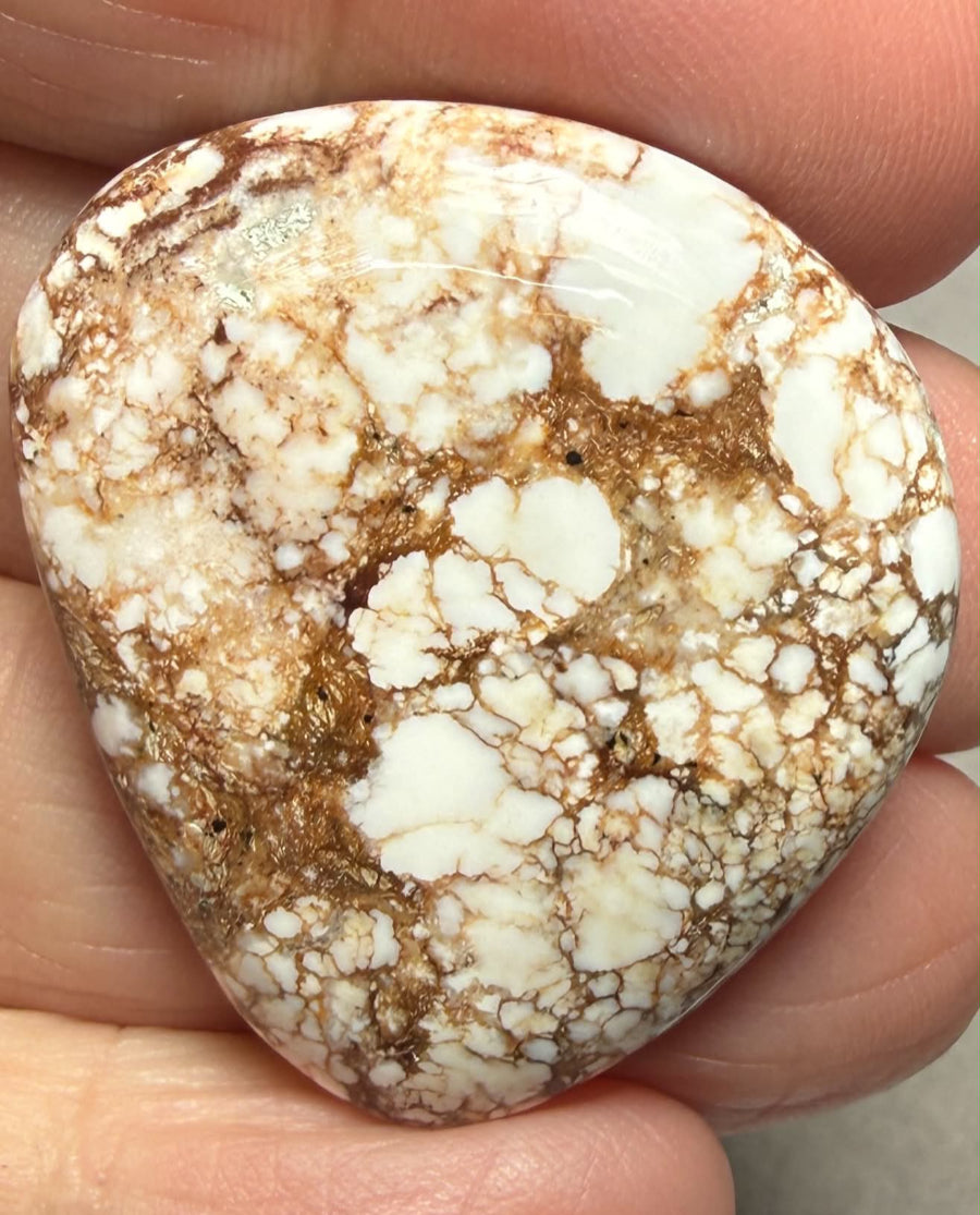 Freeform 34x32mm Wild Horse Magnesite Cabochon 35