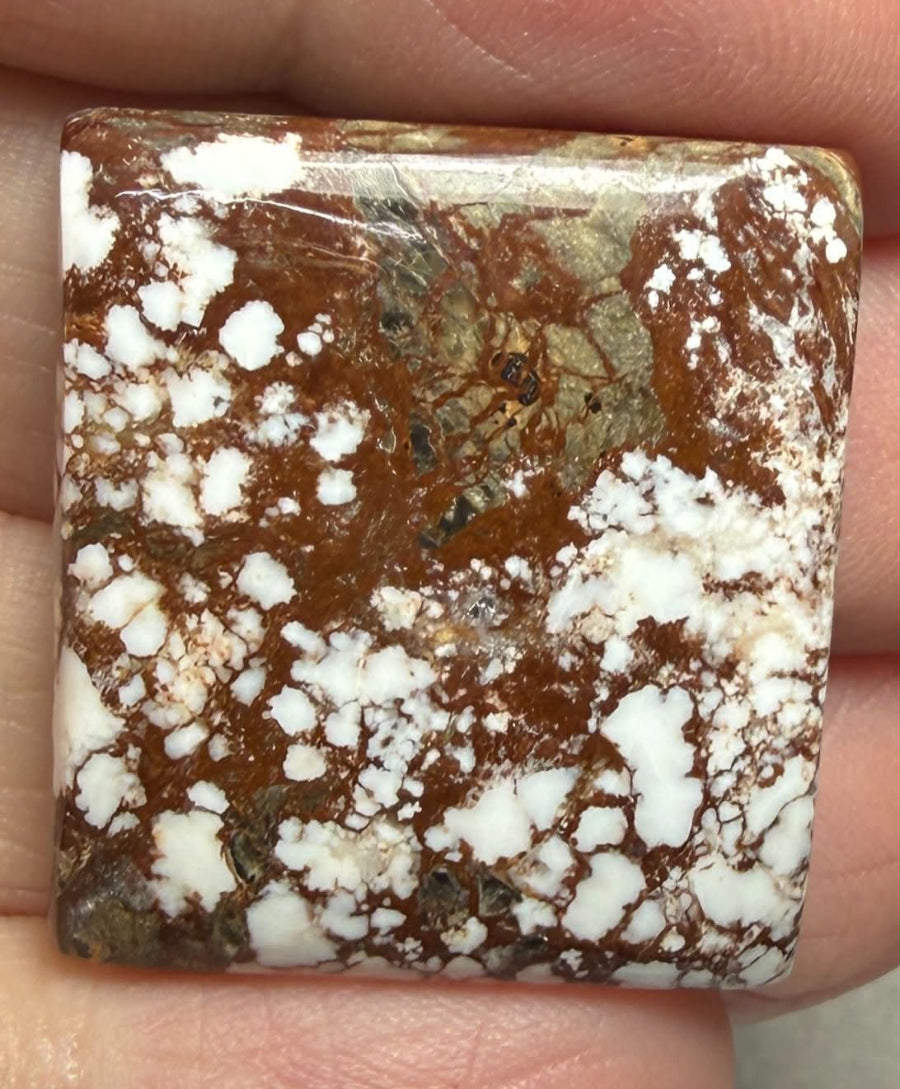 Rectangle 26x23mm Wild Horse Magnesite Cabochon 39