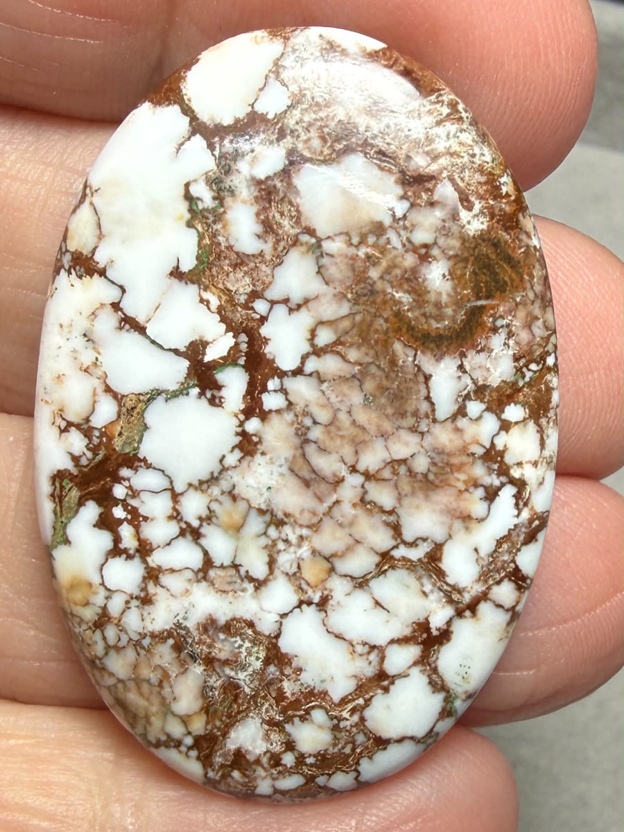 Oval 40x27mm Wild Horse Magnesite Cabochon 40