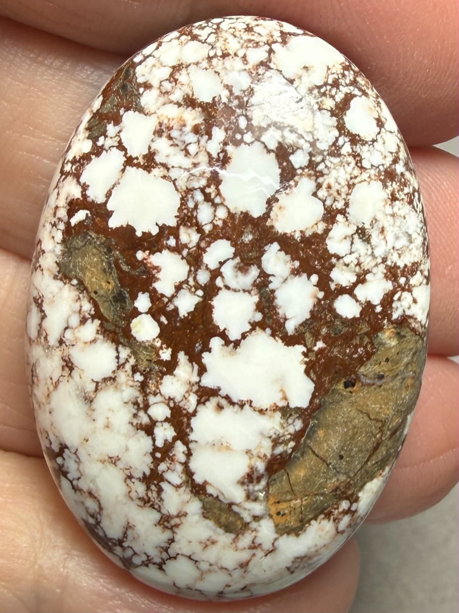 Oval 38x26mm Wild Horse Magnesite Cabochon 41